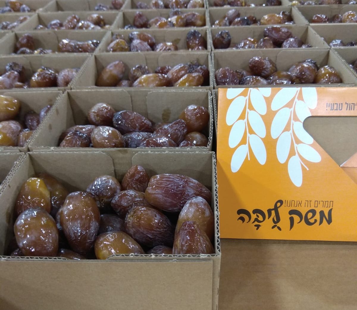 מה זה התמר העסיסי הזה שכולם מדברים עליו?