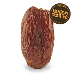 תמר מג'הול - הג'מבו שלי ליבה